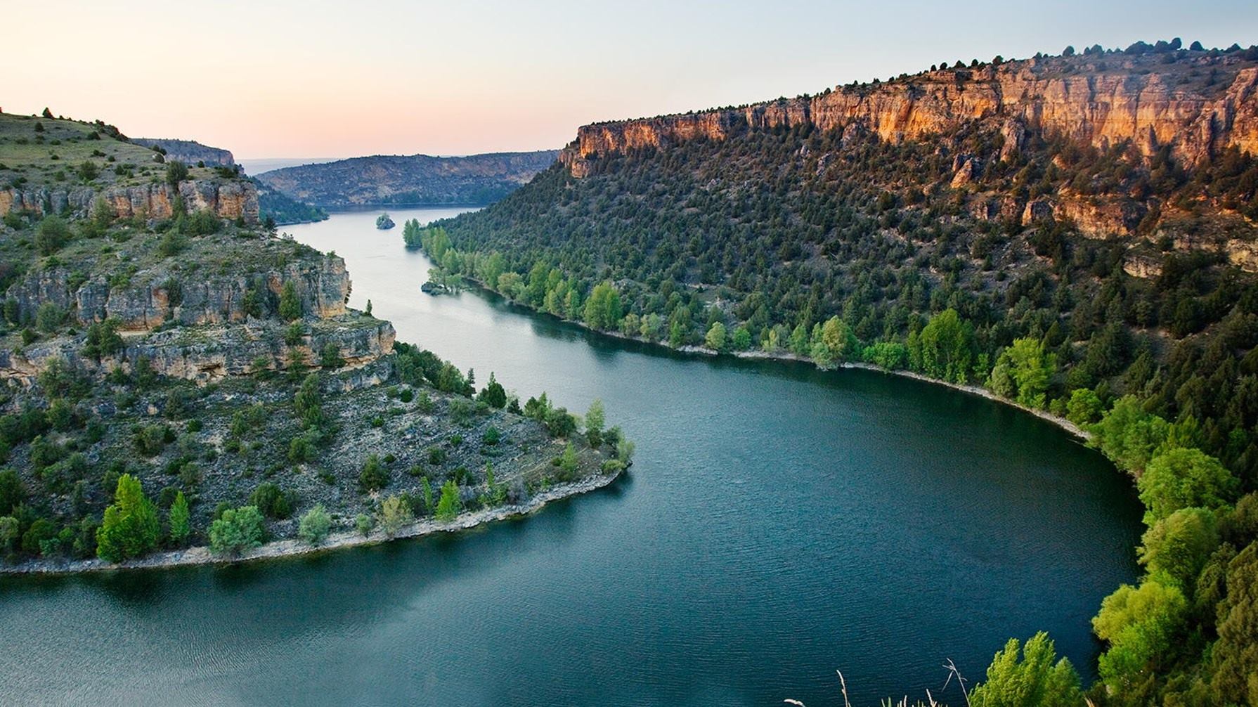 VIVE LA NATURALEZA